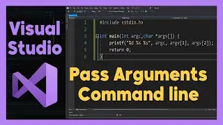 How to Pass Command Line Arguments using Visual Studio