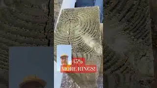 More Rings in the Wood Post = Better SGET Guardrail  Post 1