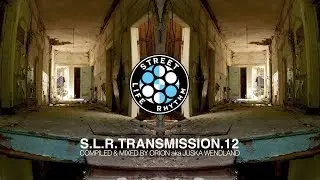 SLR Transmission 12 by Orion aka Juska Wendland