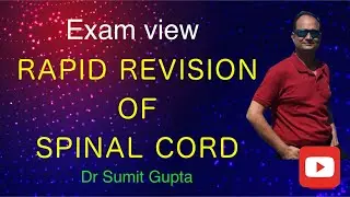 Spinal cord quick revision in Hindi