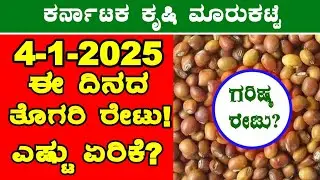 Today Redgram Rates l 4-01-2024 l ತೊಗರಿ ಗರಿಷ್ಠ ಬೆಲೆ ಎಷ್ಟು? l #RedgramRates #Karnataka @BealertJob