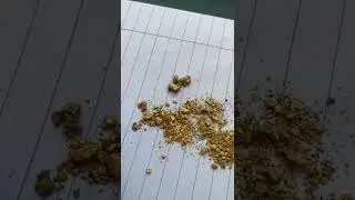 Доминикана / Скупка золота у населения 😅🇩🇴