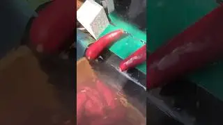 Sweet Potato Cleaning and Polishing Machine KNK-315WDTAN #shorts #agrimachinery