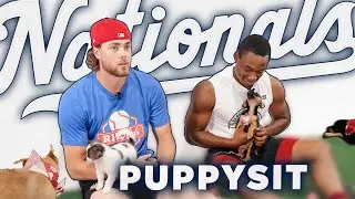 Nats Pitchers Babysit a Pen FULL of Puppies