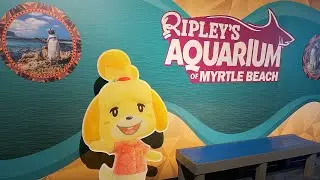 Animal Crossing At Ripley’s Aquarium! | Myrtle Beach, SC
