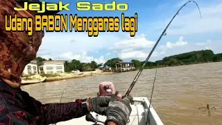 Lubuk Batu Jadi Pilihan Udang Babon Bersarang.Mancing Udang Galah.#fishing,#prawns,#angler