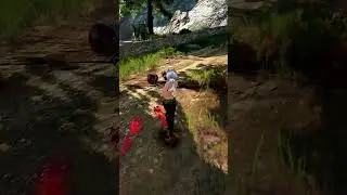 BDO New Class Weapon Leaked (probably)