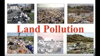 Land Pollution - 5th grade presentation by Reagan Farrell