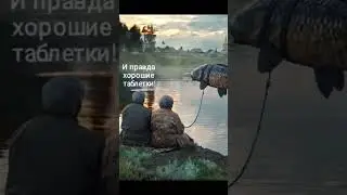 Язь… 🌚 #шортс #мем #приколы #язь