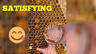 ODDLY Satisfying videos //LEVEL UP//