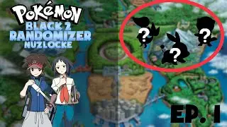 Pokémon Black 2 Randomizer Nuzlocke - Ep.1