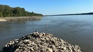 Tips on fishing wing dams from a bank angler’s perspective 