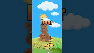 Animals Animation || Cute Animation | Animals names #animals #animation