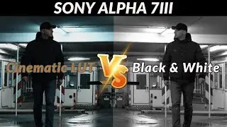 Sony Alpha 7 III - Cinematic LUT vs. Black & White