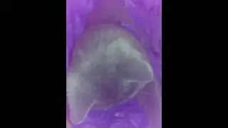 ох уж этот сева