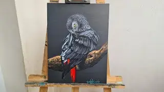 Жако, масло ,холст35×45