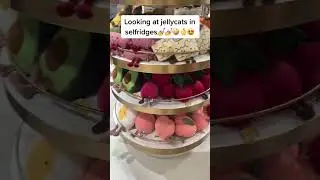 Looking At Jellycats tiktok  jelly cats