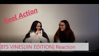 BTS VINES [JIN EDITION] Reaction (Link for the video bellow)