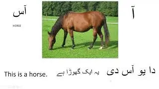Pashto vocabulary  د پیل کونکو لپاره