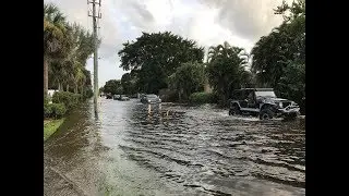 Rainy Season and Hurricane Season Tips