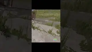 Твои тиммейты в раст билайк 