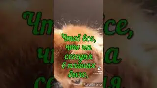 Хорошего дня!!! Котик!!!!