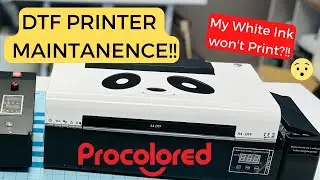 DTF PRINTER MAINTANENCE | WHITE INK WON'T PRINT?? | PROCOLORED DTF PRINTER