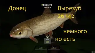 рр4! Северский Донец. Вырезуб. Попытка поймать удалась!