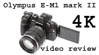 Olympus E-M1 mark II as video recording camera (review)