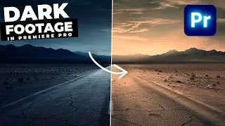 How To LIGHTEN Dark FOOTAGE In Premiere Pro