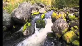 КРАЙ БЕРЕЗОВЫЙ