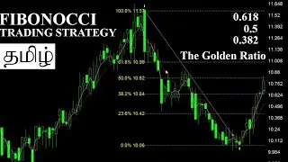 How To Use Fibonacci Series   The Golden Ratio   Will It Work In Financial Markets  (Tamil)