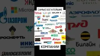 САМЫЕ БОГАТЫЕ КОМПАНИИ МИРА #shorts #youtubeshorts #факты #интересно #самые #макиего