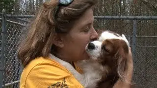 Hurricane Sandy:  HSUS Sheltering Pets