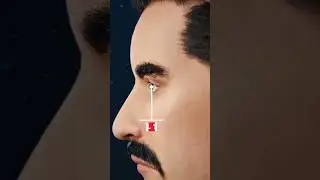 Why Do We Cry 😢