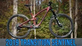 Transition Sentinel Review (2019 - Carbon GX)