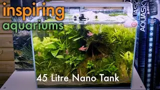 Inspiring Aquariums - 45 Litre Nano Tank