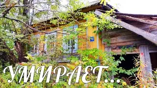 Старинная умирающая деревня в глуши Кировской области. Покинутый мир Вятки.