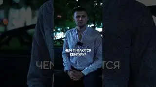 ПАРНИ ОТВЕЧАЮТ НА ВОПРОСЫ | @user-yo5jo6px7i