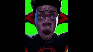 I respect every single spiderman in here... Does that include me | Green Screen