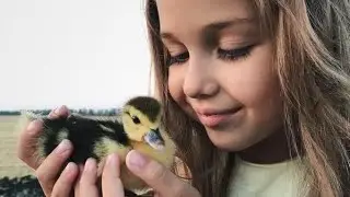#التحرر