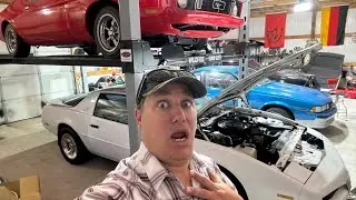 I got Kicked out of Dealer's Auto Auction for Their Mistakes (Falsely Accused)