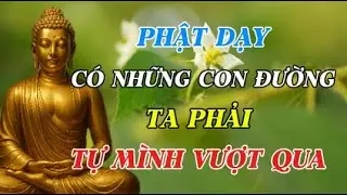 PHẬT DẠY: CÓ NHỮNG CON ĐƯỜNG TA PHẢI TỰ MÌNH VƯỢT QUA | Bài Giảng Giúp Tâm An | Chính Niệm Soi Tâm