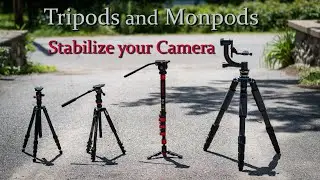 Best Tripod and Monopod Options - Great tools to stabilize your camera and lens.