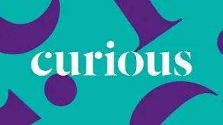 Curious 2024