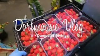 Dumpster Diving (Germany) : PREVIEW FOR TOMORROW. NEW ITEMS, STRAWBERRIES AND FLOWERS