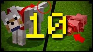 10 choses que vous ignoriez sur le loup minecraft !