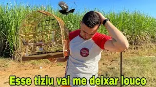 LEVEI MEU TIZIU EM UM LUGAR ONDE TINHA VARIOS SOLTOS