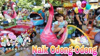 Odong Odong Angsa Cantik || Bermain di Kebun Binatang Ragunan bersama Safa || Aku Naik Odong Odong