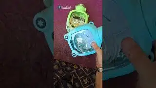 🧸 Adorable Kids' Bear Water Bottle 🐻 | Perfect for School & Playtime! 🥤 #glowroad #ytshorts